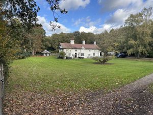 window restoration near me